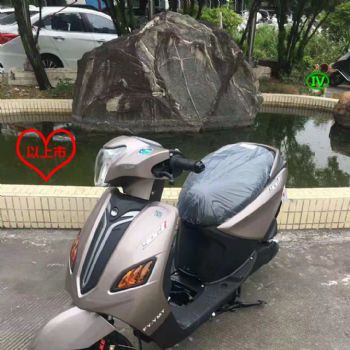  ��ӥϲ���������Ħ�г�