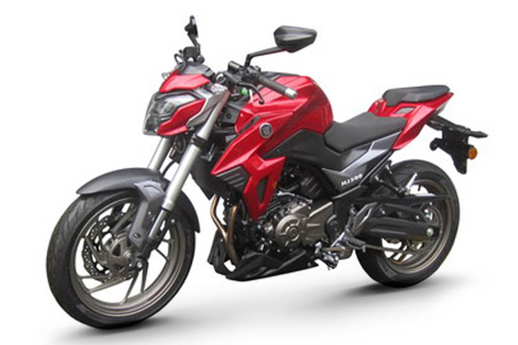 ���� HJ300