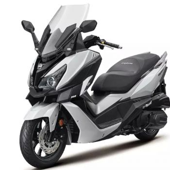 ���� CRUiSYM 300