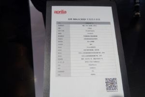 �������� ApriliaAPR300T-V2019Ħ���� ��������SR MAX300