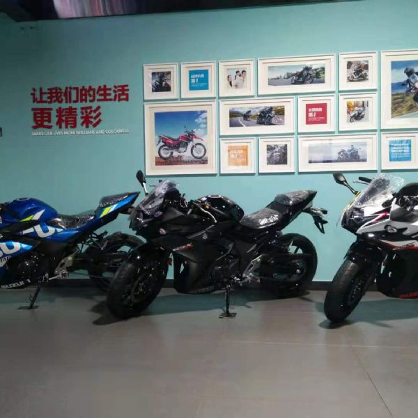 ������ľGSX250R