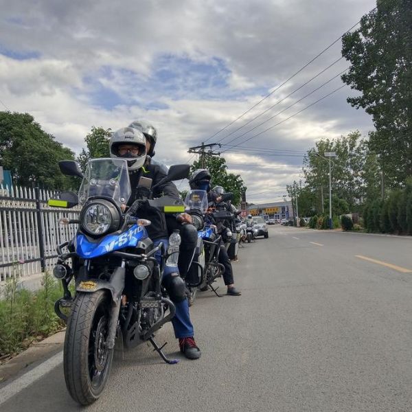 ������ľDL250