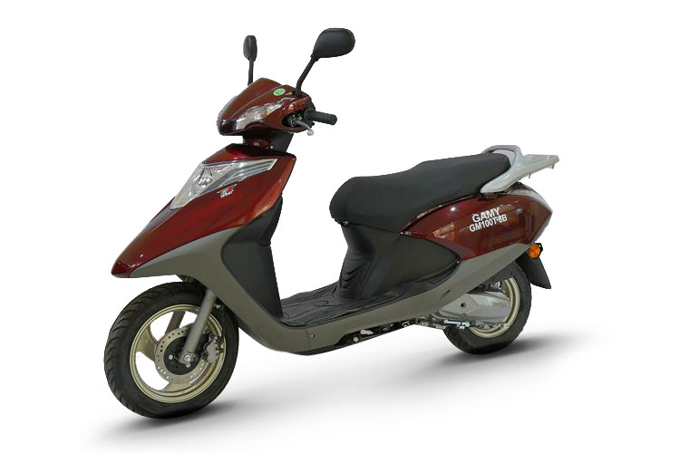 ���� GM100T-8B