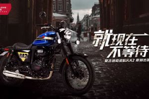������RA2��Ʒ�ֲ�