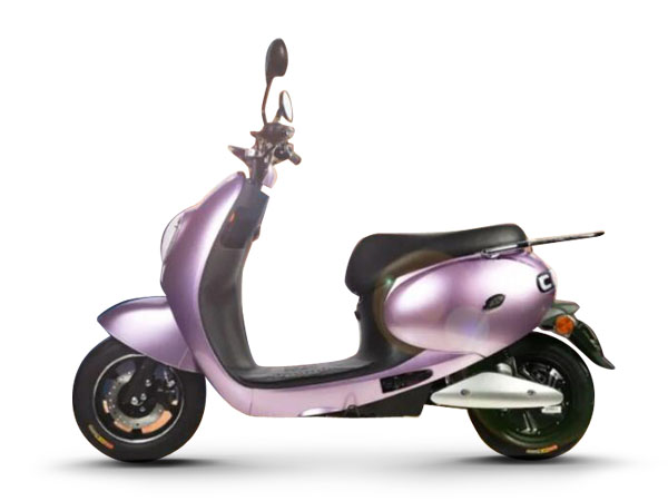 ���� SY800DQT